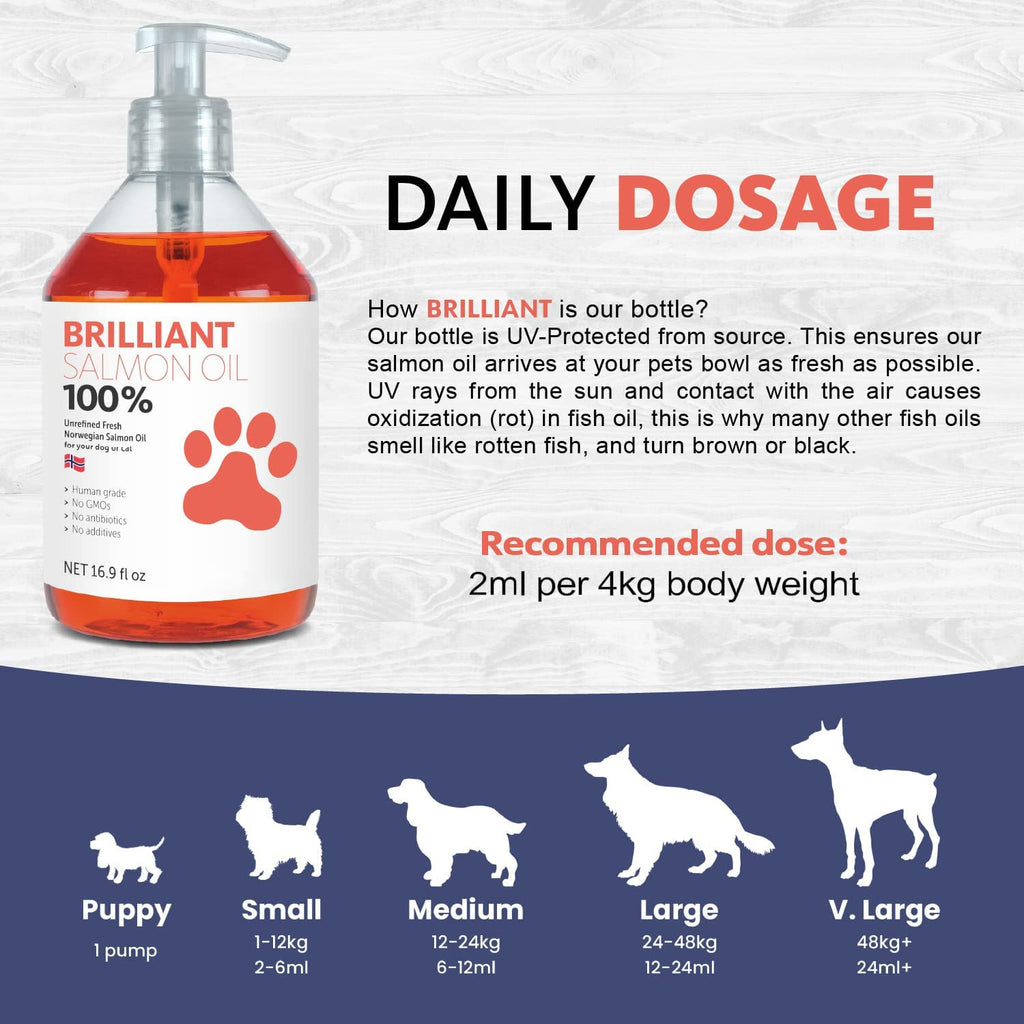 Salmon Oil Skin & Coat Drops for Dogs 4