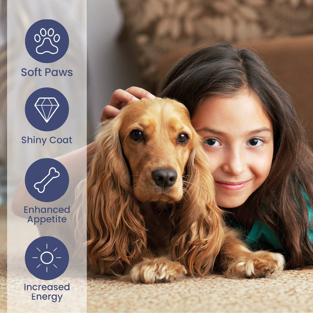 Salmon Oil Skin & Coat Drops for Dogs 5