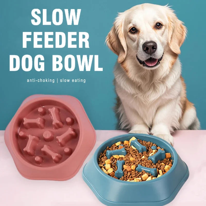 Cat Slow Feeder Bowl (Anti-Gulp) 2