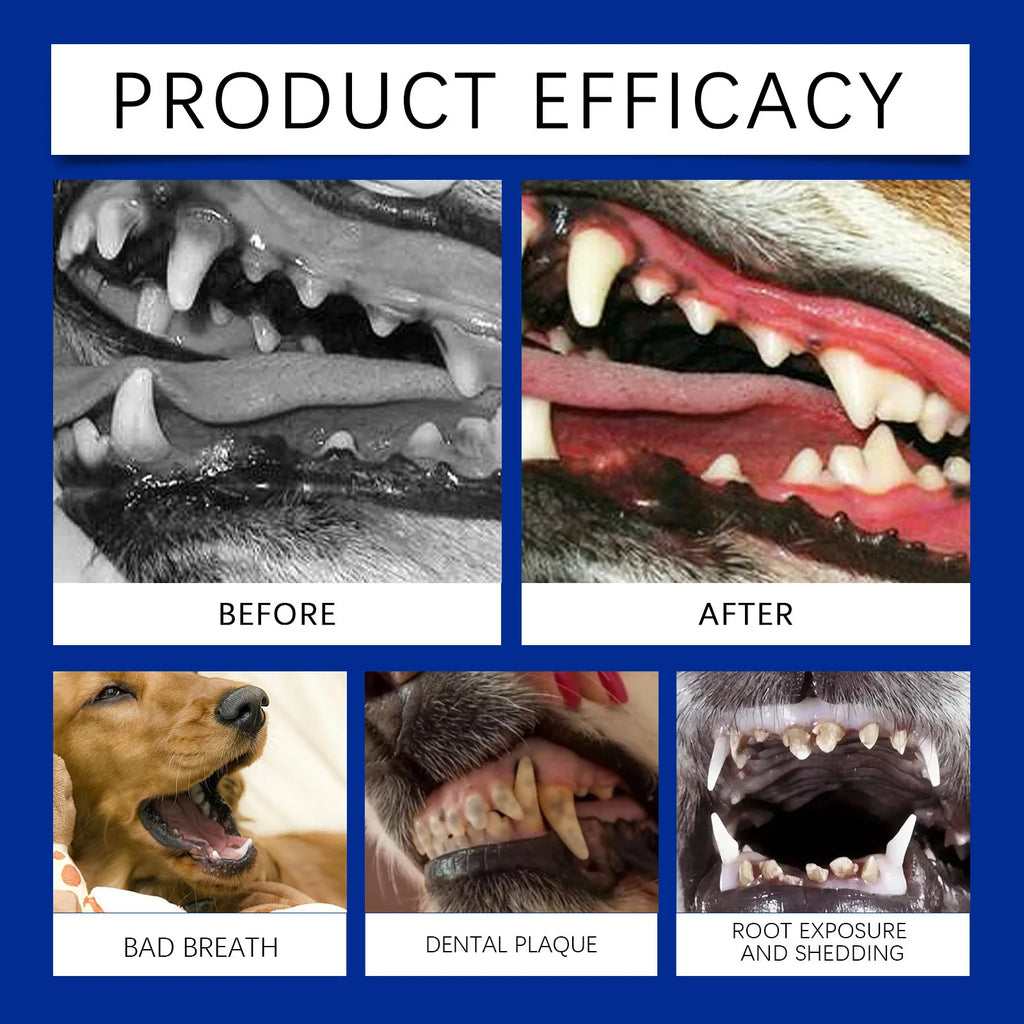 Dental Cleaning Powder for Dogs & Cats (100g) 3