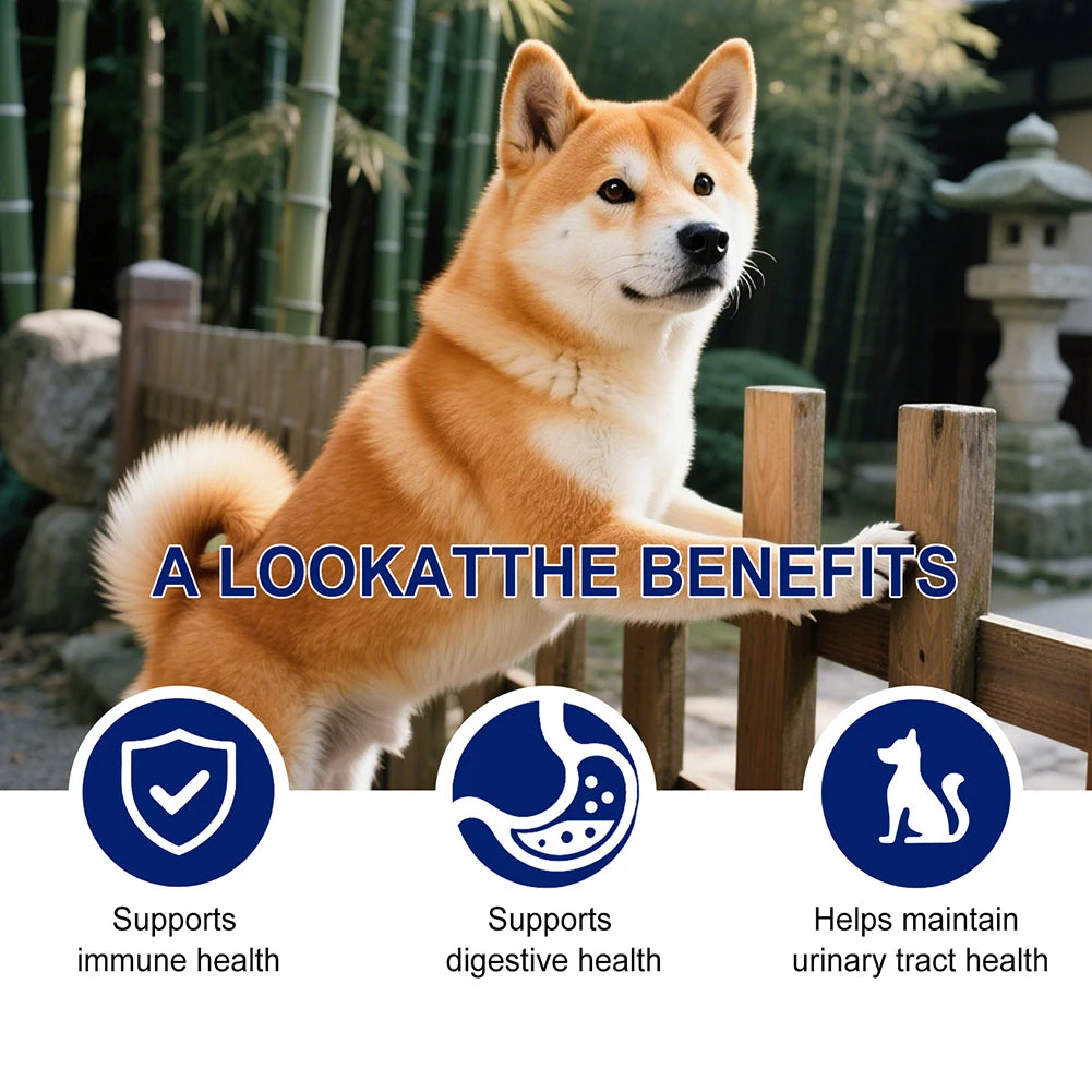 Probiotic Chews for Dogs – Gut & Digestion Support 3