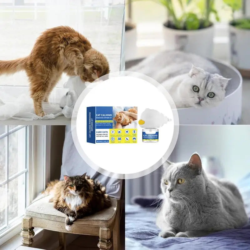 Cat Calming Diffuser Set (45ml) 3