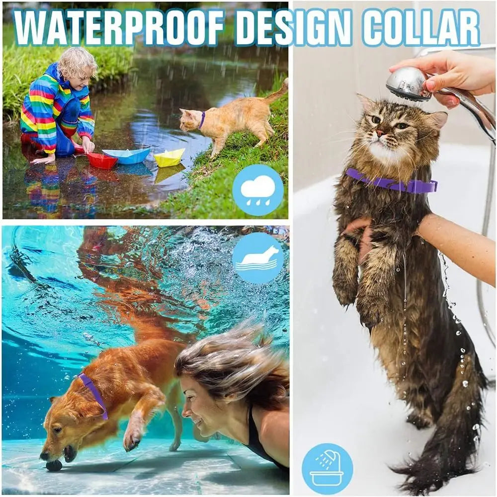 Adjustable Calming Collar for Cats & Dogs 6