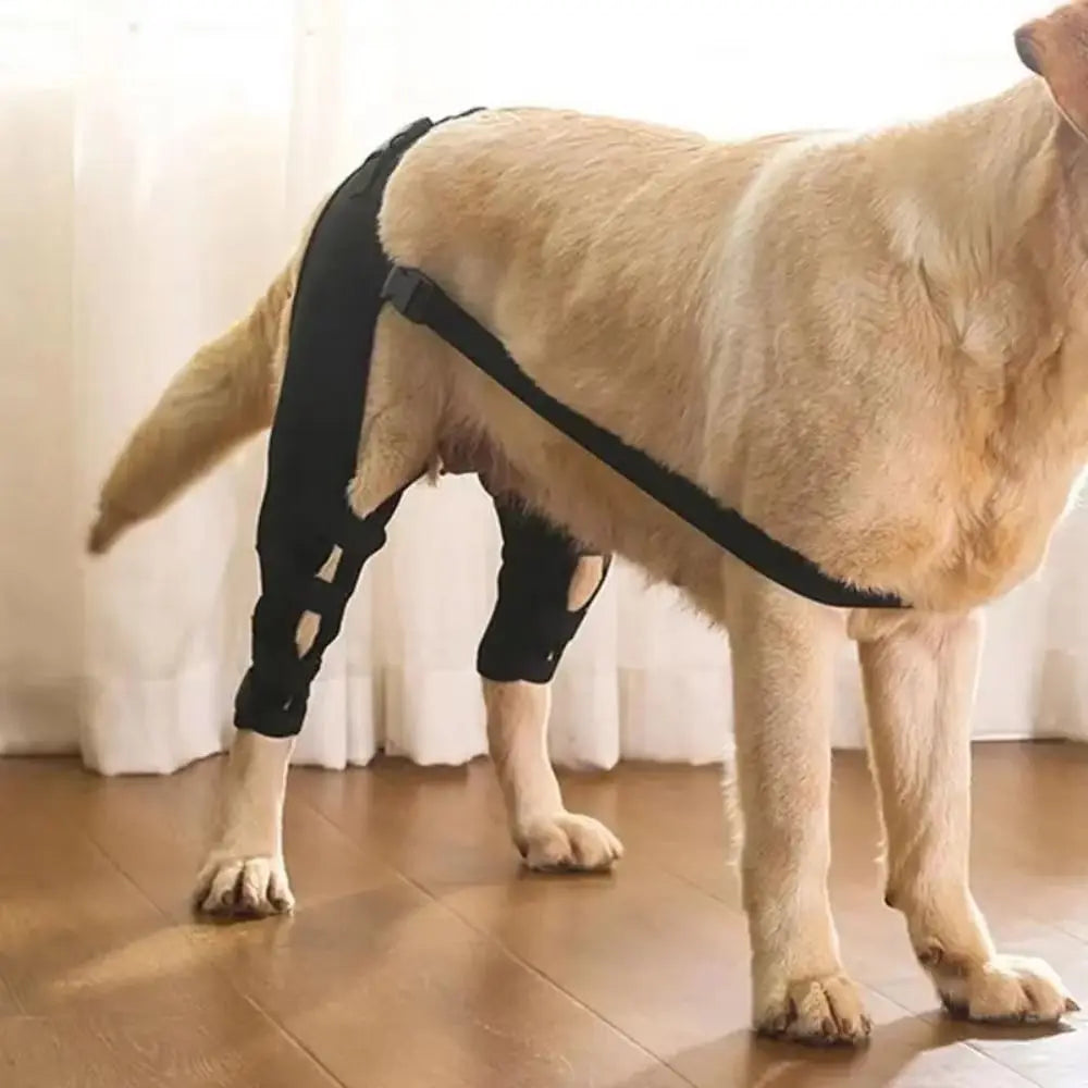 Dog Leg Support Brace (Knee & Hip Style) 2