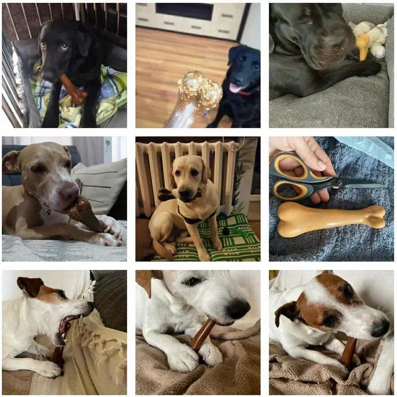 Dental Care Chews for Dogs – Breath & Oral Support 4