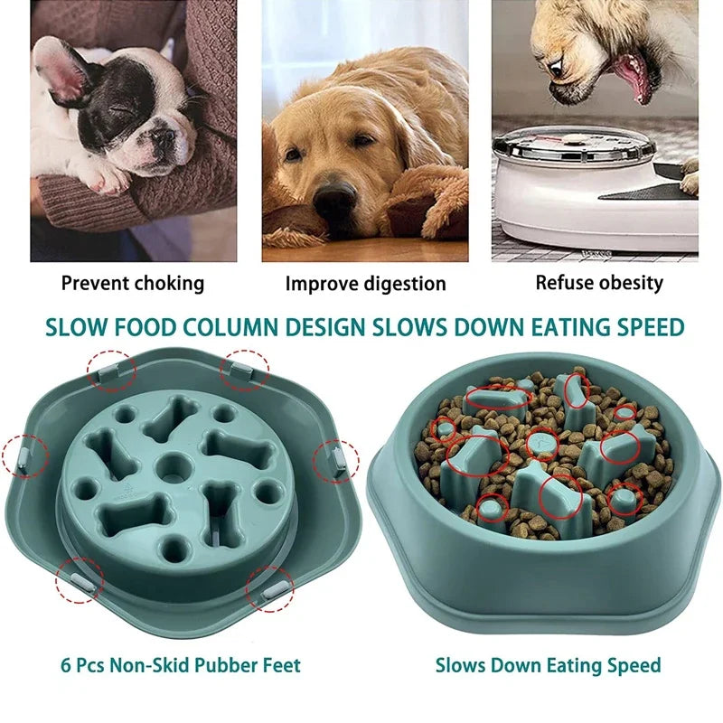 Cat Slow Feeder Bowl (Anti-Gulp) 5