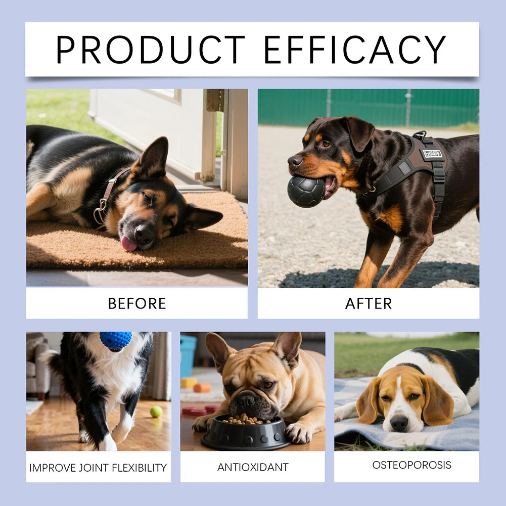 Probiotic Chews for Dogs – Gut & Digestion Support 6