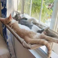 Cat Window Hammock Bed (Suction Cup)