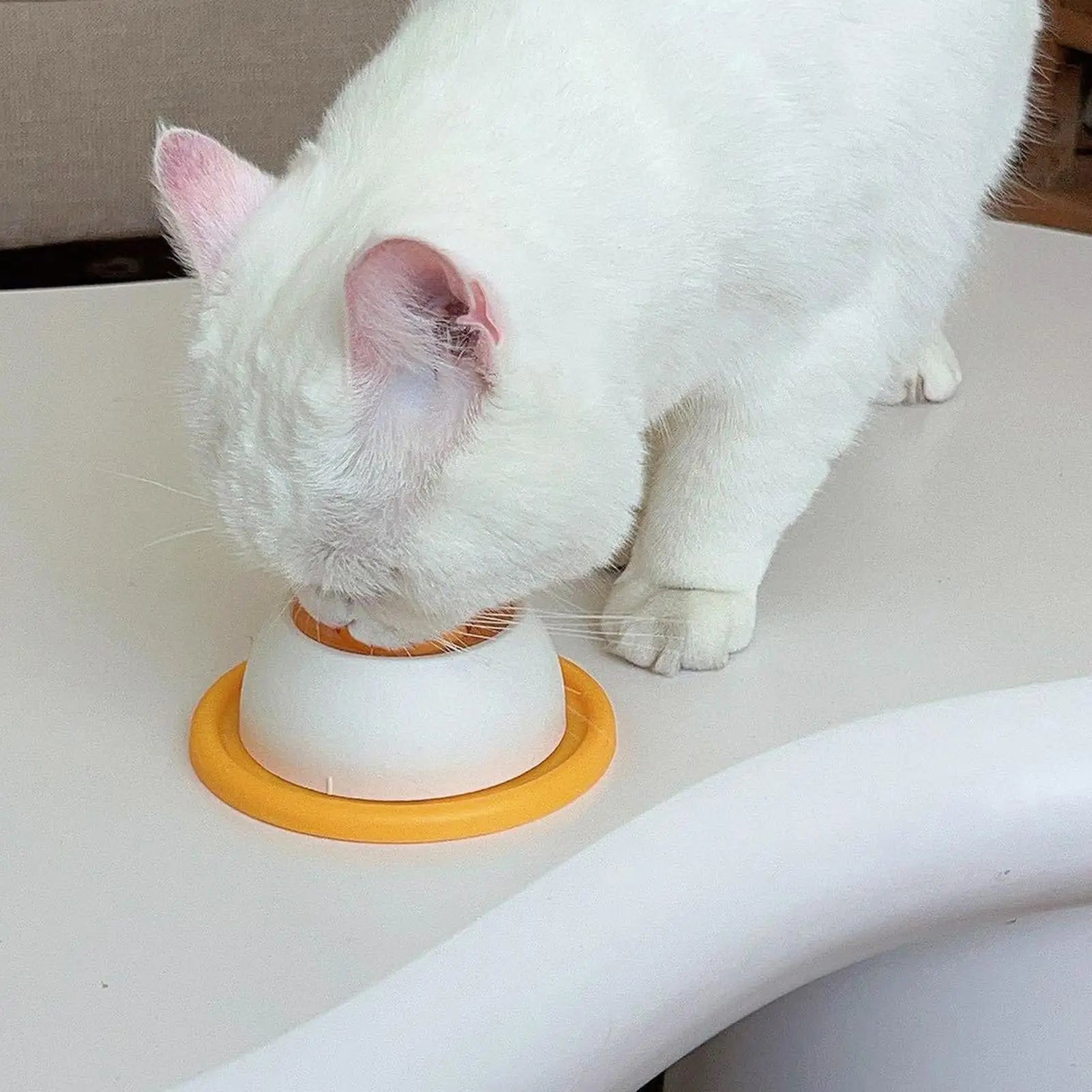 Silicone Slow Feeder Dog Bowl 4