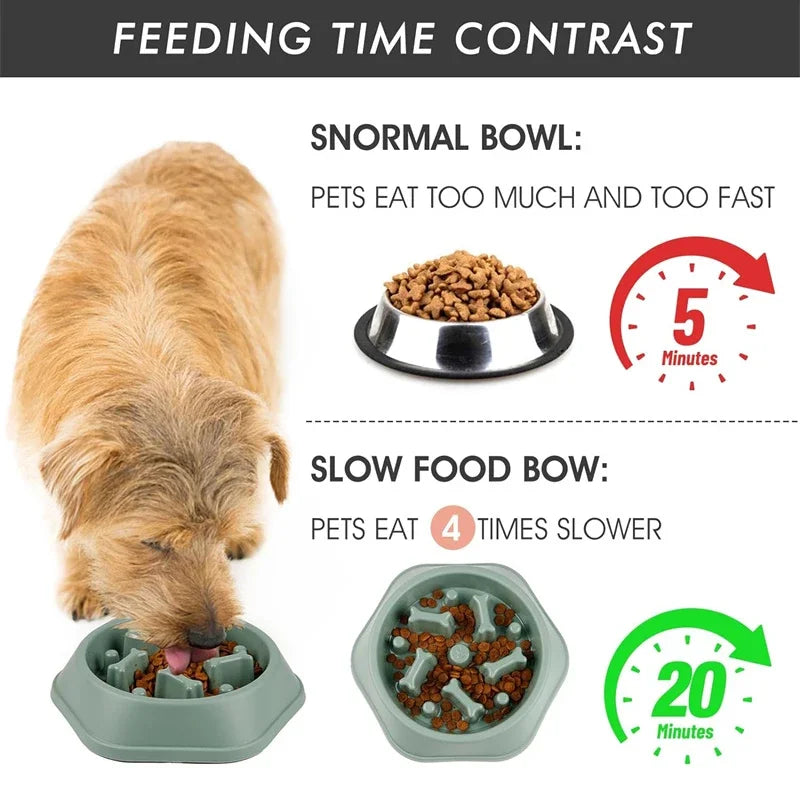 Cat Slow Feeder Bowl (Anti-Gulp) 6