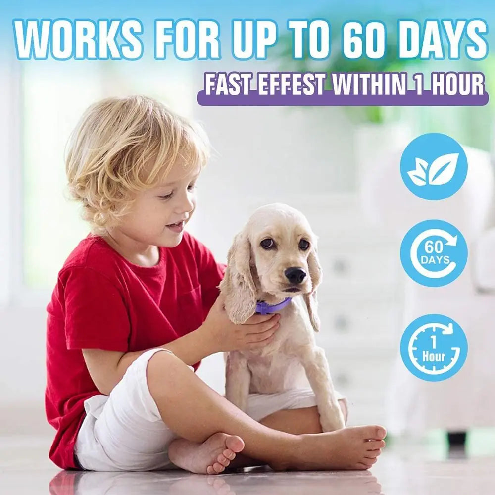 Adjustable Calming Collar for Cats & Dogs 3