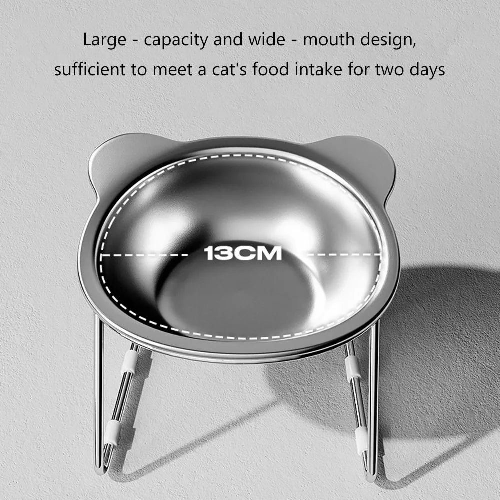 Stainless Elevated Tilted Cat Bowl 2