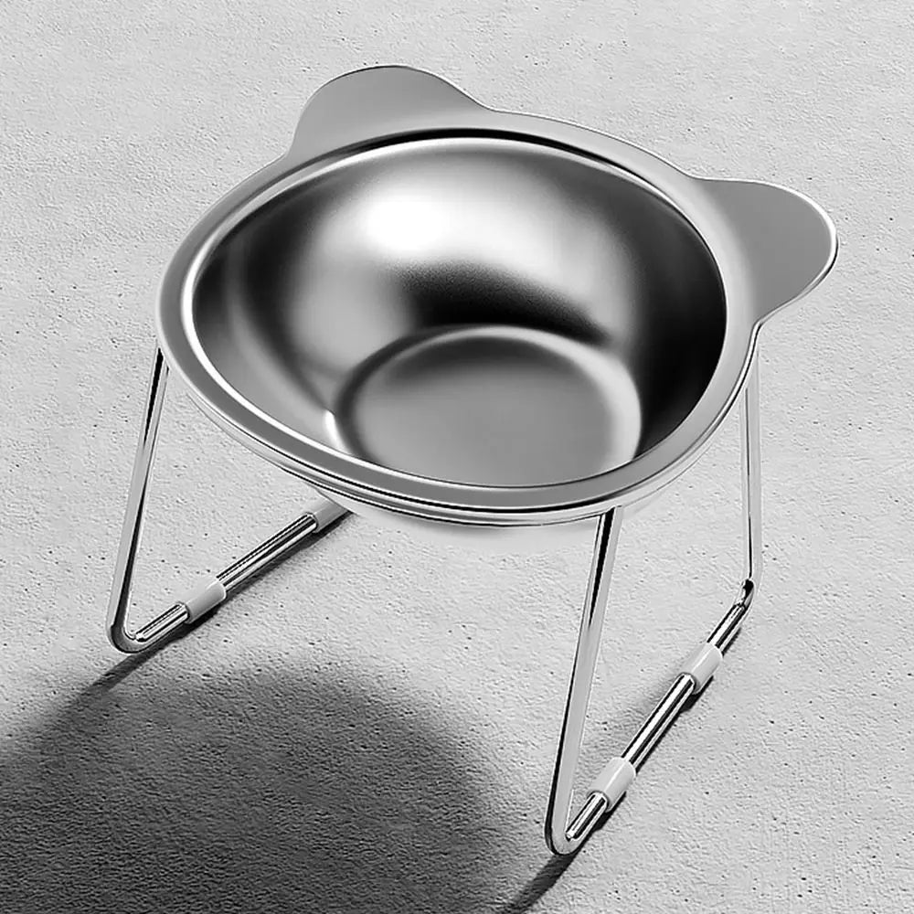 Stainless Elevated Tilted Cat Bowl