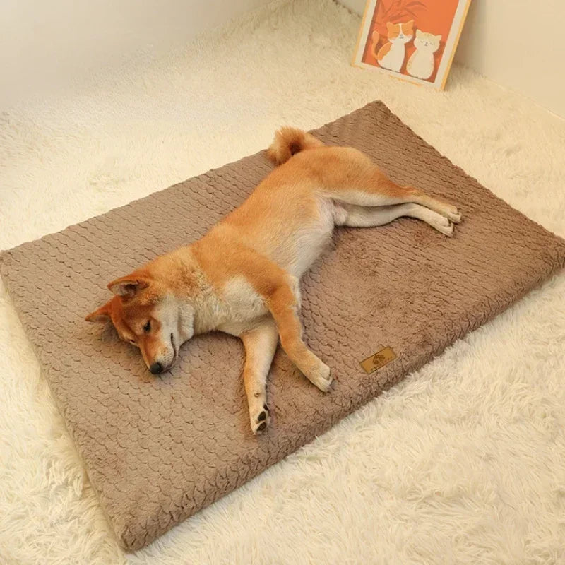 Orthopedic Memory Foam Dog Bed 5