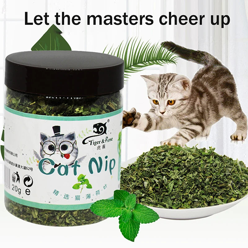 Catnip Hairball Control Snacks 2