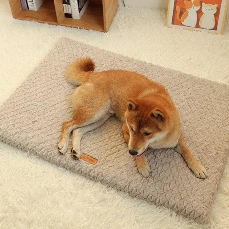 Orthopedic Memory Foam Dog Bed 6